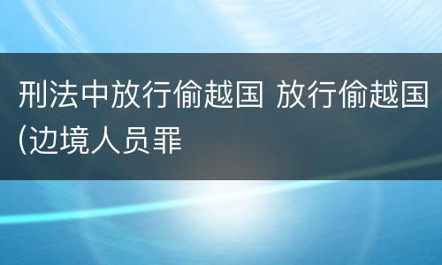 刑法中放行偷越国 放行偷越国(边境人员罪