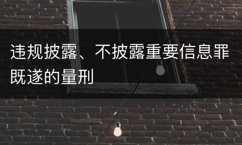 违规披露、不披露重要信息罪既遂的量刑