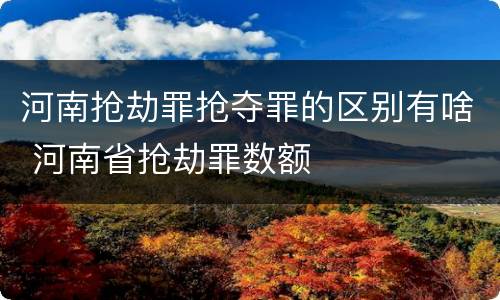 河南抢劫罪抢夺罪的区别有啥 河南省抢劫罪数额