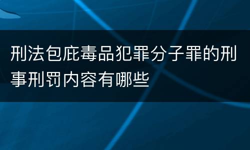 刑法包庇毒品犯罪分子罪的刑事刑罚内容有哪些