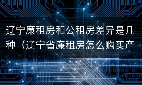 辽宁廉租房和公租房差异是几种（辽宁省廉租房怎么购买产权）