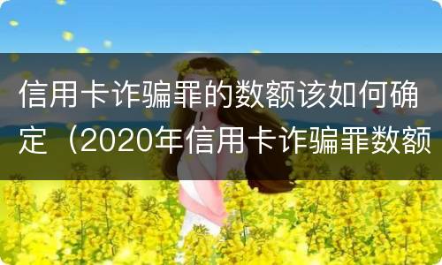 信用卡诈骗罪的数额该如何确定（2020年信用卡诈骗罪数额标准）