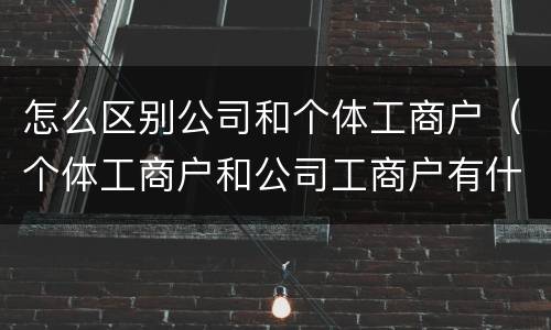 怎么区别公司和个体工商户（个体工商户和公司工商户有什么区别）