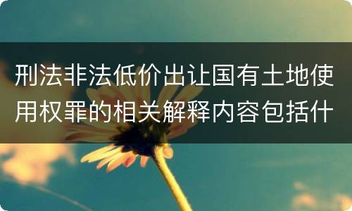 刑法非法低价出让国有土地使用权罪的相关解释内容包括什么