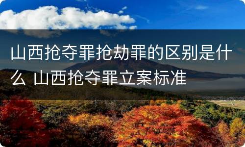 山西抢夺罪抢劫罪的区别是什么 山西抢夺罪立案标准