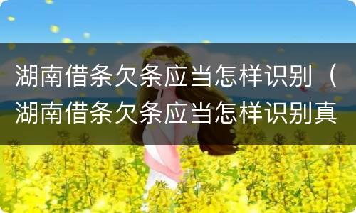 湖南借条欠条应当怎样识别（湖南借条欠条应当怎样识别真假）