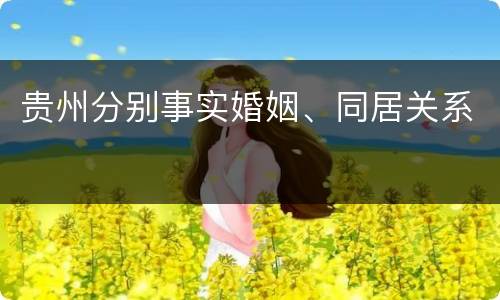贵州分别事实婚姻、同居关系