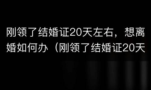 刚领了结婚证20天左右，想离婚如何办（刚领了结婚证20天左右,想离婚如何办理手续）
