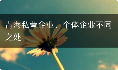 青海私营企业、个体企业不同之处