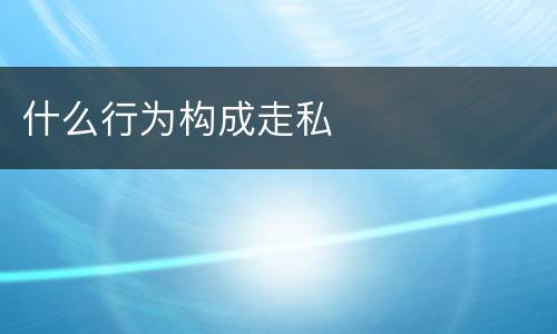 什么行为构成走私