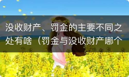 没收财产、罚金的主要不同之处有啥（罚金与没收财产哪个优先）