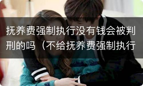 抚养费强制执行没有钱会被判刑的吗（不给抚养费强制执行会坐牢吗）