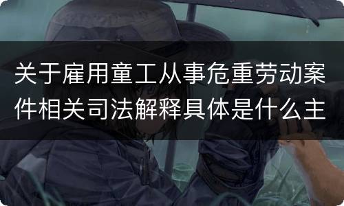 关于雇用童工从事危重劳动案件相关司法解释具体是什么主要规定