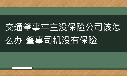 交通肇事车主没保险公司该怎么办 肇事司机没有保险