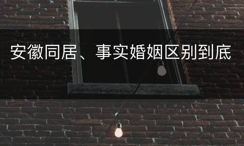 安徽同居、事实婚姻区别到底