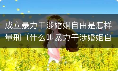 成立暴力干涉婚姻自由是怎样量刑（什么叫暴力干涉婚姻自由）