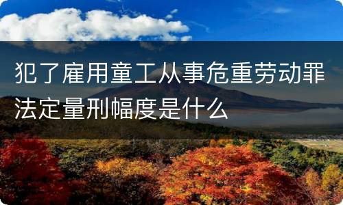 犯了雇用童工从事危重劳动罪法定量刑幅度是什么