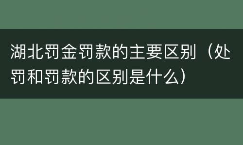 湖北罚金罚款的主要区别（处罚和罚款的区别是什么）