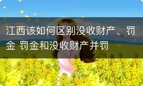江西该如何区别没收财产、罚金 罚金和没收财产并罚