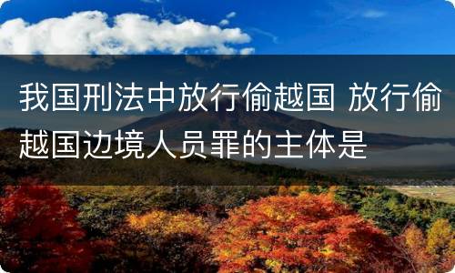 我国刑法中放行偷越国 放行偷越国边境人员罪的主体是