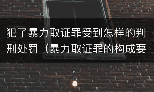 犯了暴力取证罪受到怎样的判刑处罚（暴力取证罪的构成要件）