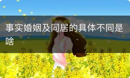 事实婚姻及同居的具体不同是啥