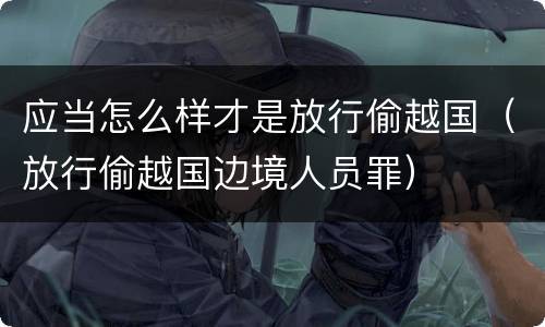 应当怎么样才是放行偷越国（放行偷越国边境人员罪）
