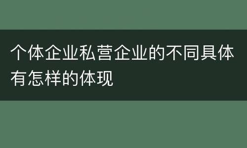 个体企业私营企业的不同具体有怎样的体现