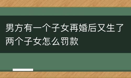 男方有一个子女再婚后又生了两个子女怎么罚款