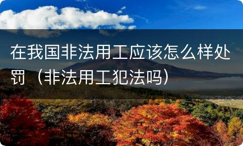 在我国非法用工应该怎么样处罚（非法用工犯法吗）