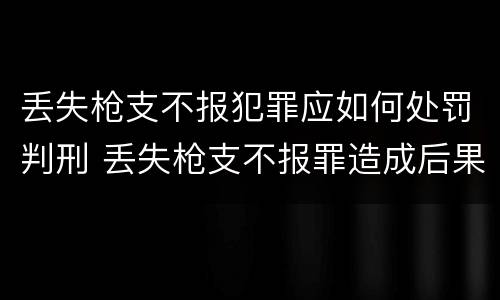 丢失枪支不报犯罪应如何处罚判刑 丢失枪支不报罪造成后果