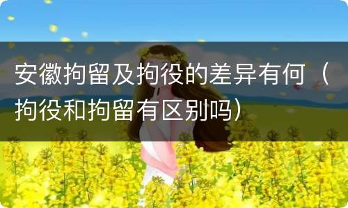 安徽拘留及拘役的差异有何（拘役和拘留有区别吗）