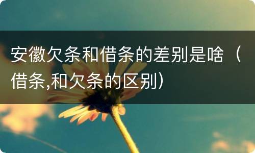 安徽欠条和借条的差别是啥（借条,和欠条的区别）