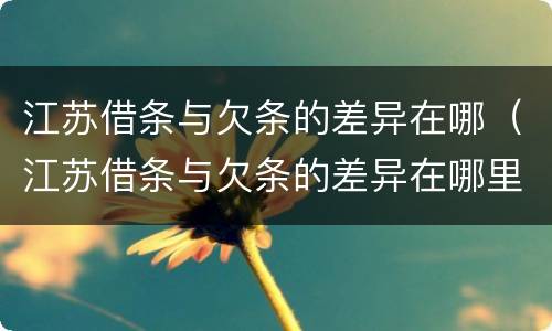 江苏借条与欠条的差异在哪（江苏借条与欠条的差异在哪里）
