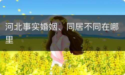 河北事实婚姻、同居不同在哪里