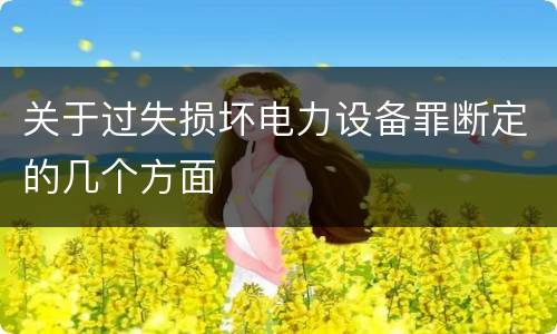 关于过失损坏电力设备罪断定的几个方面