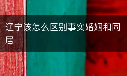 辽宁该怎么区别事实婚姻和同居