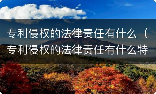 专利侵权的法律责任有什么（专利侵权的法律责任有什么特点）