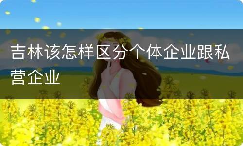 吉林该怎样区分个体企业跟私营企业