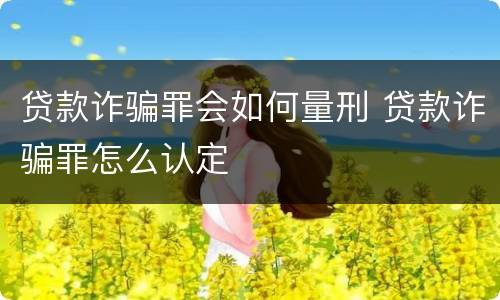 贷款诈骗罪会如何量刑 贷款诈骗罪怎么认定
