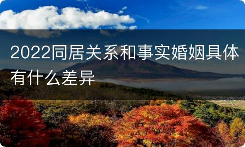 2022同居关系和事实婚姻具体有什么差异