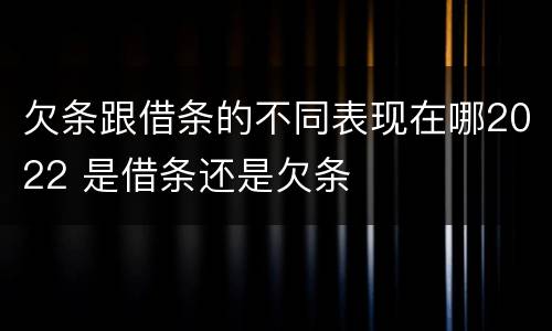 欠条跟借条的不同表现在哪2022 是借条还是欠条