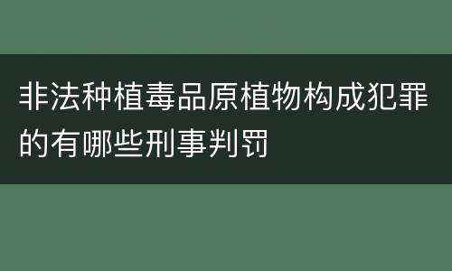 非法种植毒品原植物构成犯罪的有哪些刑事判罚