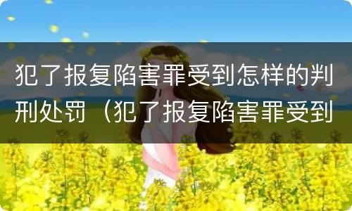 犯了报复陷害罪受到怎样的判刑处罚（犯了报复陷害罪受到怎样的判刑处罚呢）