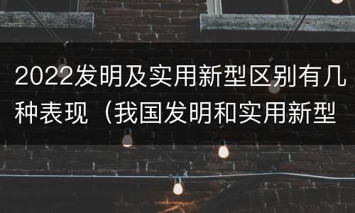 2022发明及实用新型区别有几种表现（我国发明和实用新型的标准）