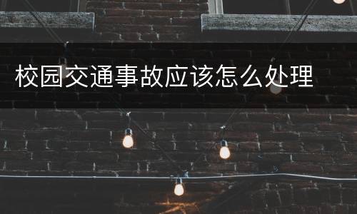 校园交通事故应该怎么处理