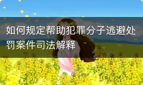 如何规定帮助犯罪分子逃避处罚案件司法解释