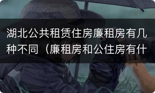 湖北公共租赁住房廉租房有几种不同（廉租房和公住房有什么区别）