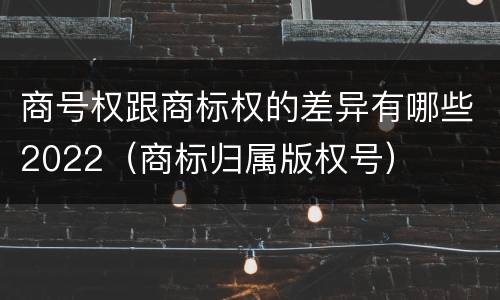 商号权跟商标权的差异有哪些2022（商标归属版权号）