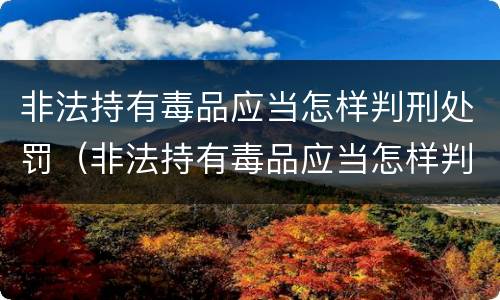 非法持有毒品应当怎样判刑处罚（非法持有毒品应当怎样判刑处罚决定书）